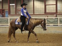 horse shows 31