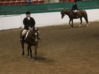 horse shows 44